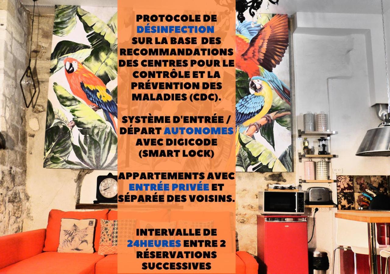Appartement Cite Des Papes Avignon